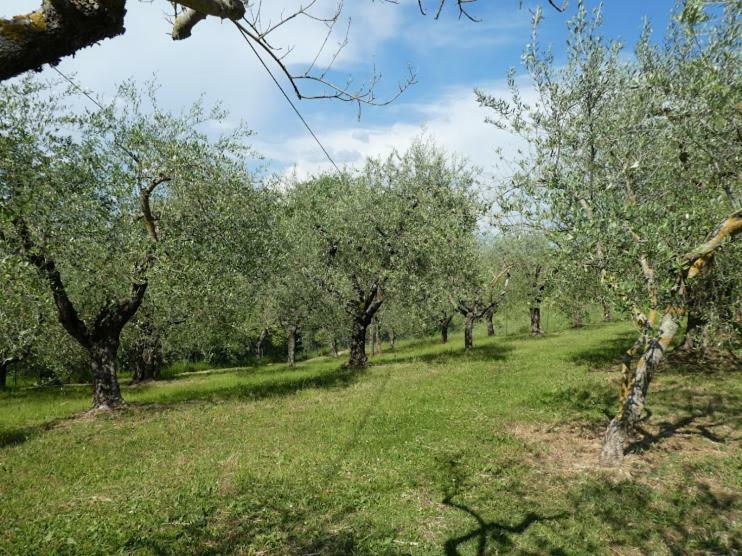 Appartement Casa Giuliana à Chiusi Extérieur photo